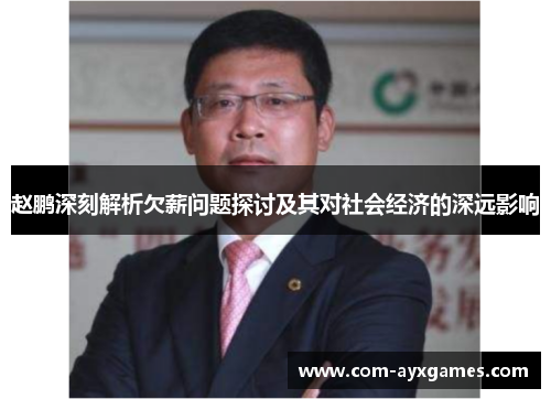 赵鹏深刻解析欠薪问题探讨及其对社会经济的深远影响