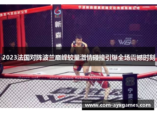 2023法国对阵波兰巅峰较量激情碰撞引爆全场震撼时刻 2023法国对阵波兰巅峰较量激情碰撞引爆全场震撼时刻
