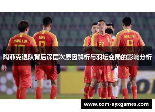 陶菲克退队背后深层次原因解析与羽坛变局的影响分析 陶菲克退队背后深层次原因解析与羽坛变局的影响分析