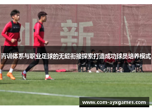 青训体系与职业足球的无缝衔接探索打造成功球员培养模式 青训体系与职业足球的无缝衔接探索打造成功球员培养模式